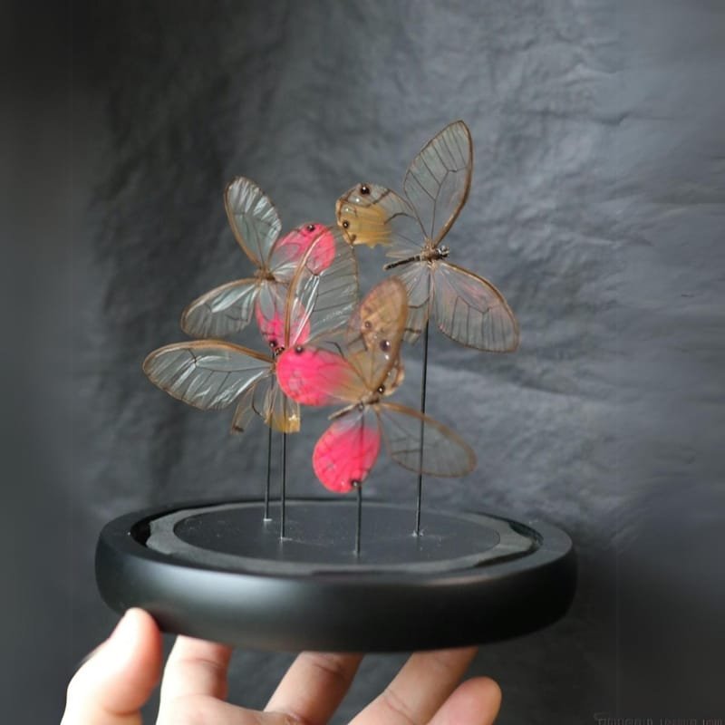 The Last Dance of the Butterfly cyberentocraft