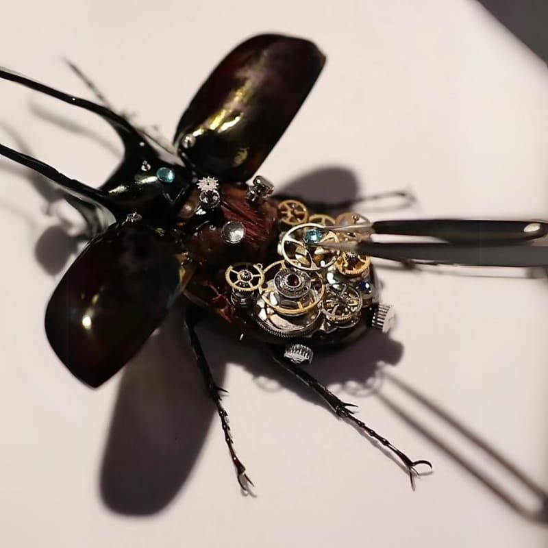 Beetles carrying energy gems cyberentocraft