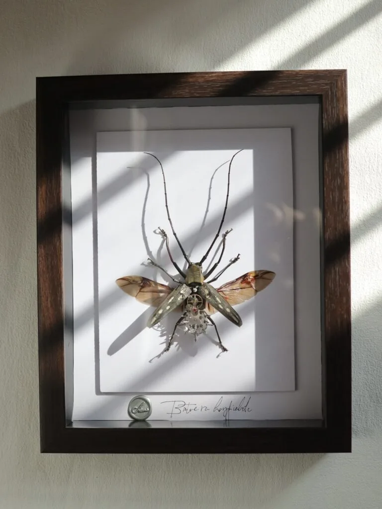 beetle art