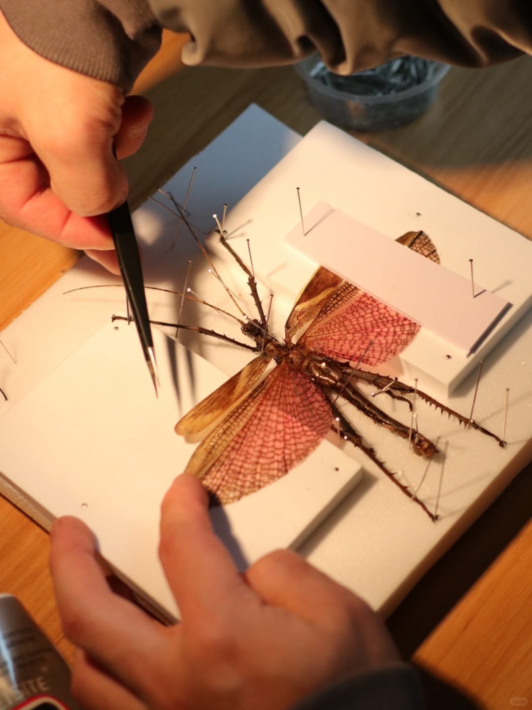 customization cyberentocraft hand make