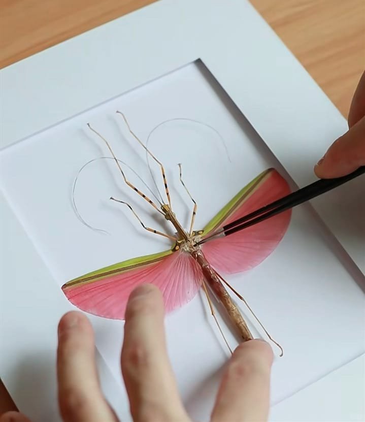 customization cyberentocraft hand make1