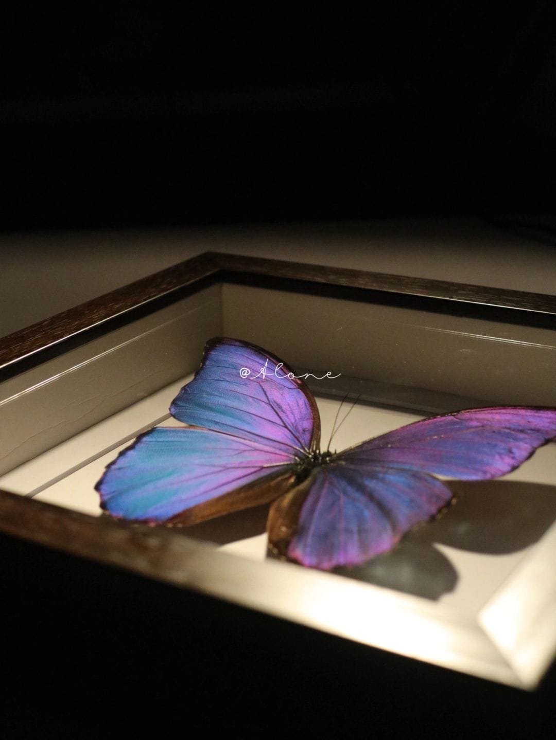 customization cyberentocraft hand make2